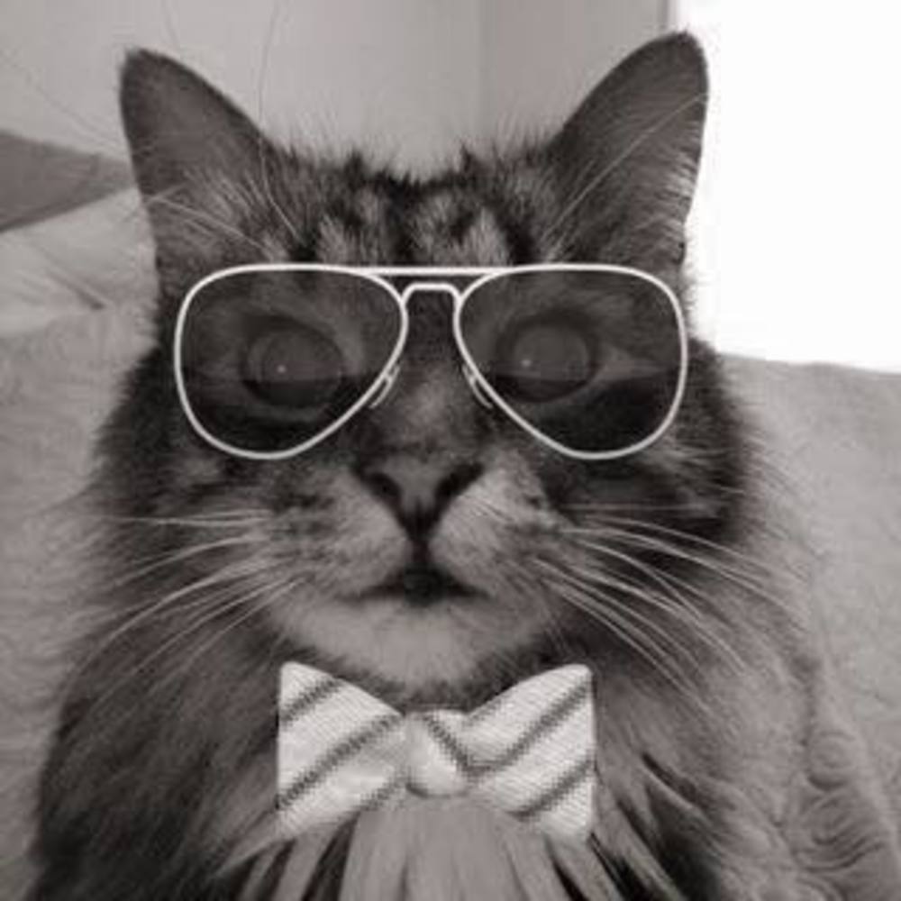 Meet your Posher, Timothy